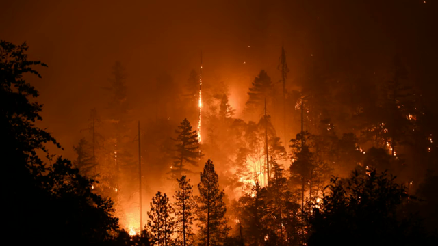 猛暑の原因がプラスチック？気候危機をもたらすプラスチックの記事動画