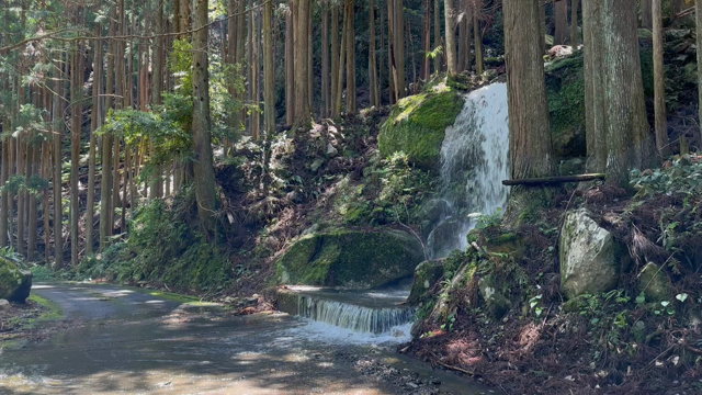 ありがとうございます 〜玉置神社参拝の記事動画