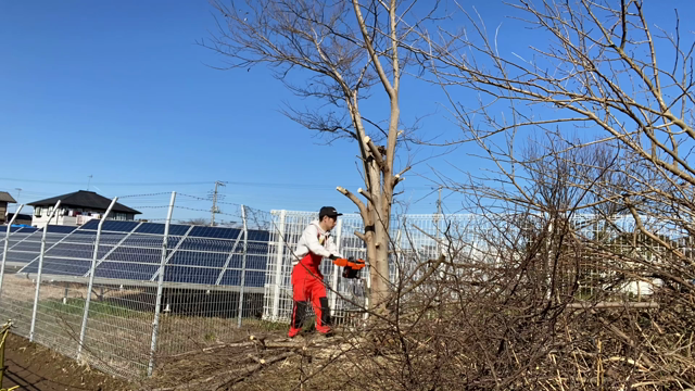 世界で1番小さいキャンプ時DIY#3 優しいお婆さん参上の記事動画