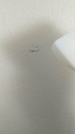 ☆2017年大掃除＝＝ドやさーーーの記事動画