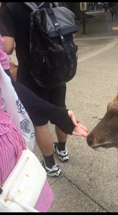 関西旅行 in 大阪の記事動画