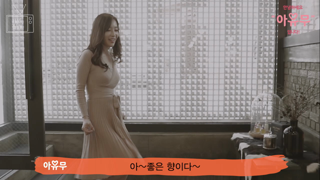 アンニョンハセヨあゆむイムニダの記事動画