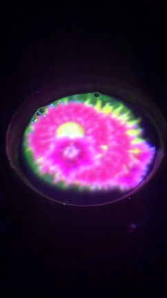 世界に溶け込む。の記事動画