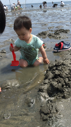 マテ貝に初参戦☆の記事動画