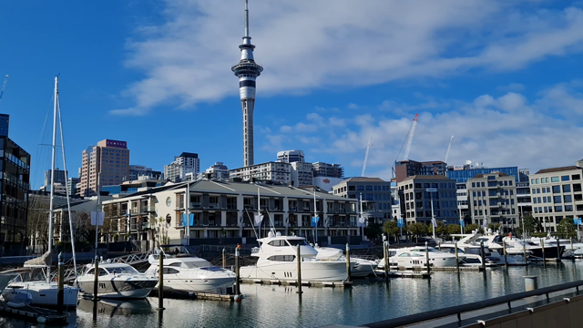 散歩コースパート2の記事動画