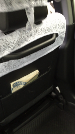 秋ですなーの記事動画