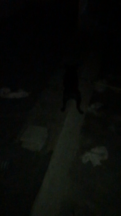 真っ暗の記事動画