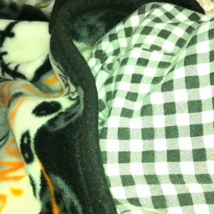 布団キックの記事動画