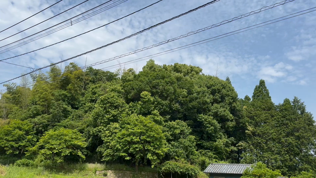 5月もおわり♪の記事動画