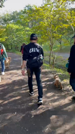 ビビり＆ガウガウ犬の初お散歩会の記事動画