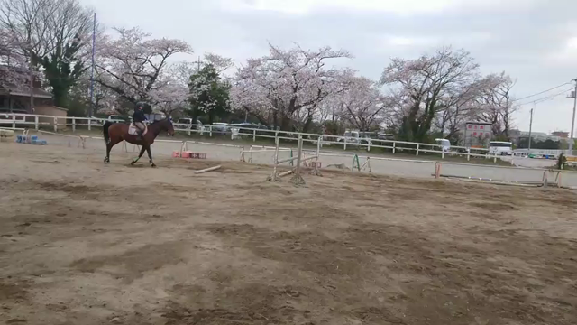 珍プレーの記事動画