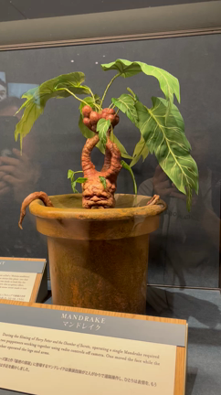 「ハリー・ポッター」のスタジオツアー東京の記事動画