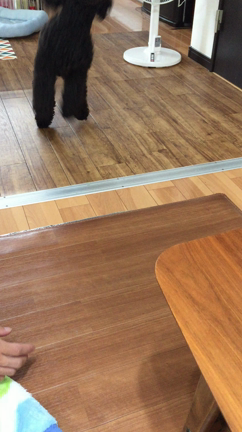感謝感謝です♡の記事動画