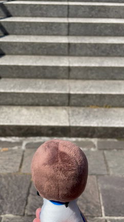 さぁ、Celesteロケ地への記事動画