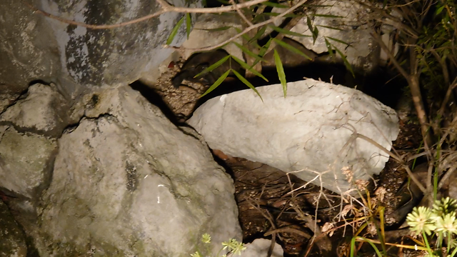 氷点下キターッ!の記事動画