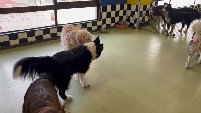 3月10日(木)☆彡の記事動画