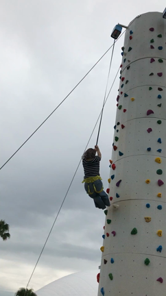 ちぐまやの記事動画