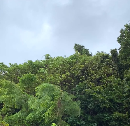 台風6号、もうすぐ最接近！の記事動画