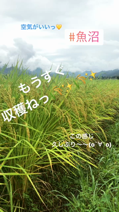 新学期が始まった★挑戦した夏〜の記事動画