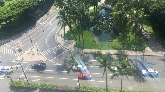 ハワイでアメリカ大統領選挙を楽しむの記事動画