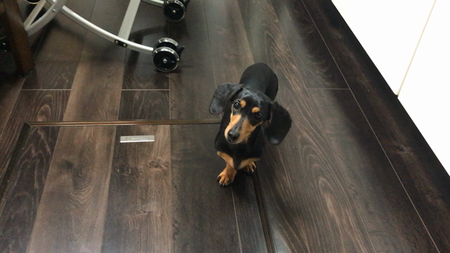 ボーロで鬼は外の記事動画