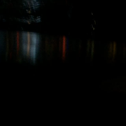 花火の記事動画