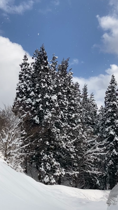 雪景色の記事動画