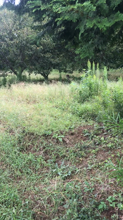 ミニジムの記事動画