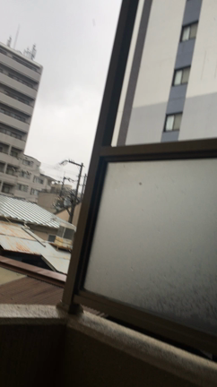 台風の記事動画