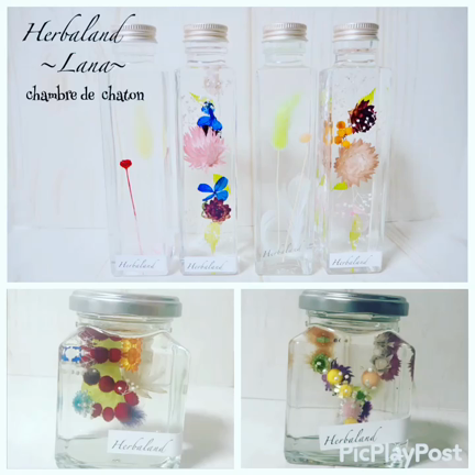 ハ－バリウム　Lanaレッスンレポ☆の記事動画