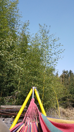 ハンモックの記事動画