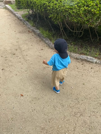 1歳3ヶ月12日目〜まめ太大きくなったよ〜の記事動画