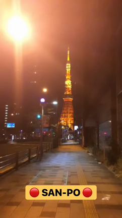 Instagramストーリーの記事動画