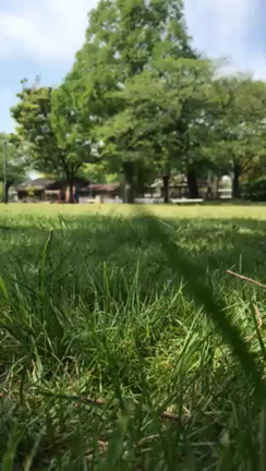 ☆本日のコラム☆ 舞夜先生！はだしが好き♪の記事動画