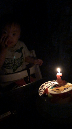 きいちゃん3才のお誕生日の記事動画