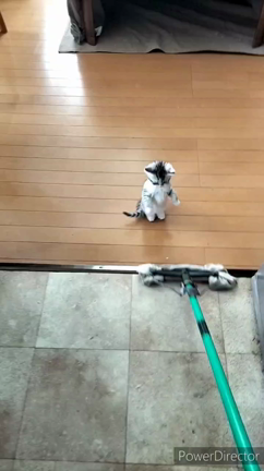 2024年　初のブログですの記事動画