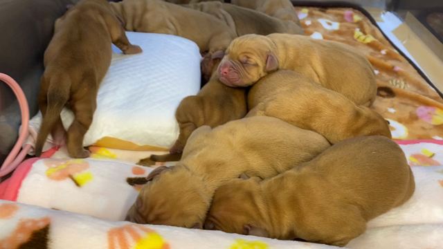 産まれた〜の記事動画