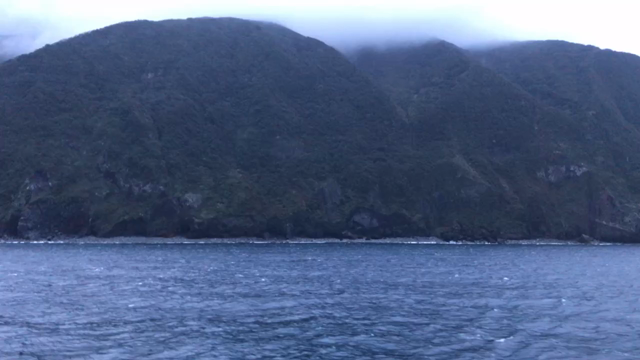 御蔵島編 ７ イルカと泳いだ感想の記事動画