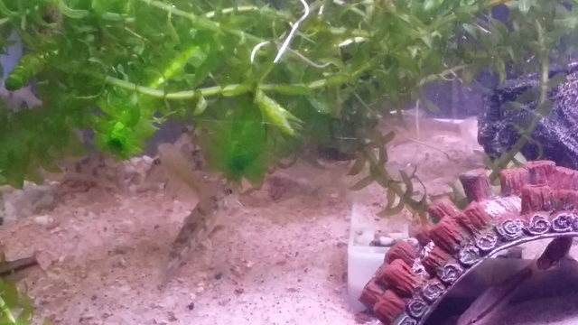 大雨の記事動画