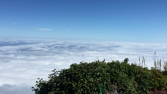 利尻山頂上ムービーの記事動画