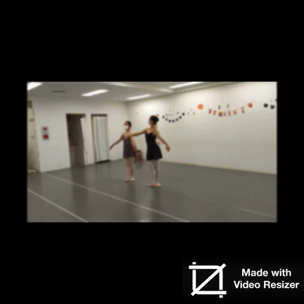 【動画】ヒストリカルダンスを見てみよう！バレエ学校必須科目のダンスの記事動画