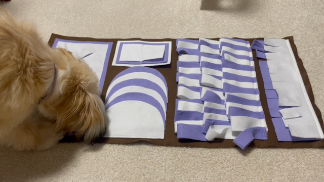 42日目　ノーズワークマットに挑戦の記事動画