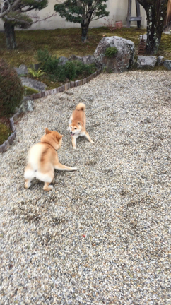 なつとふゆ2。の記事動画