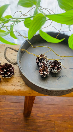 フランネルフラワー、クリスマスアレンジ。暦を学ぶ18〜24日まで。の記事動画