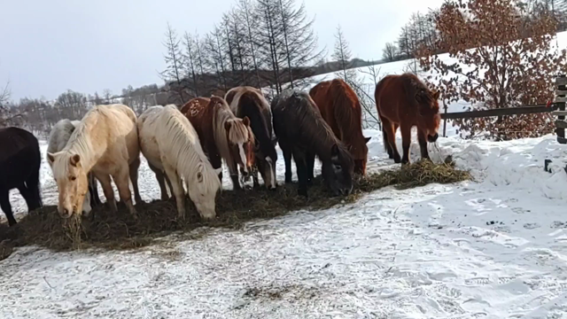 恒例の訓辞の記事動画