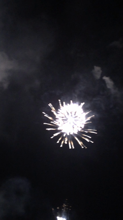 たまや〜✺⋆*の記事動画