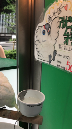 潜入の記事動画