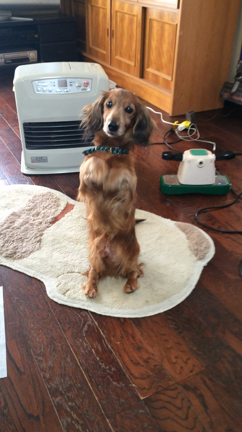 明日はLIVE♫の記事動画