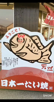 フラッシュモブの記事動画