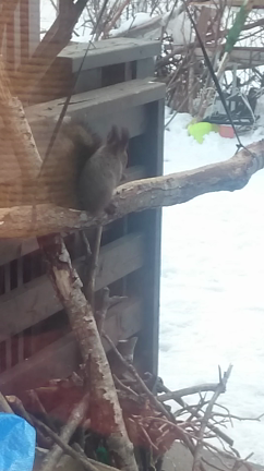 記録更新中。の記事動画